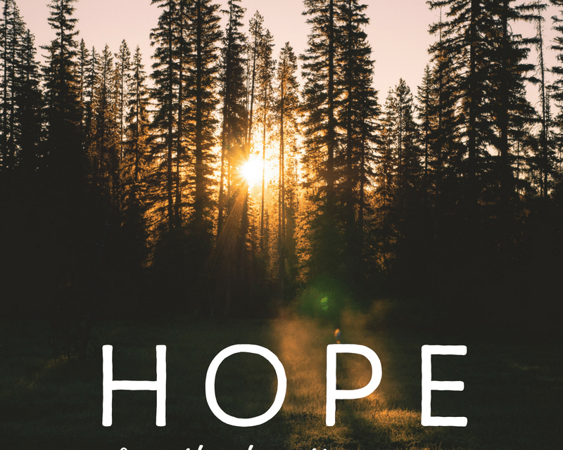 Wrapping up Our Series: Hope for the Hurting Mom: