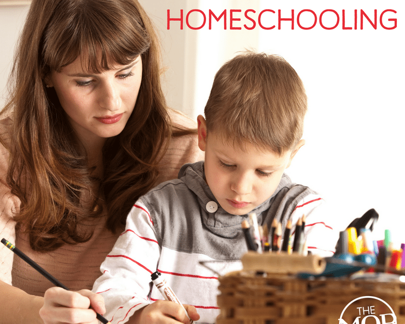 The Hardest Part of My Day: Homeschooling