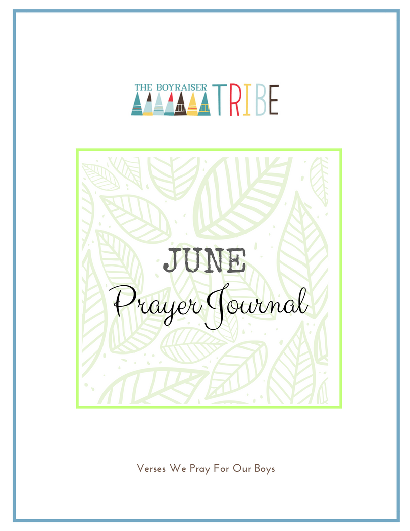 Tribe Prayer Journal Tribe Prayer Journal