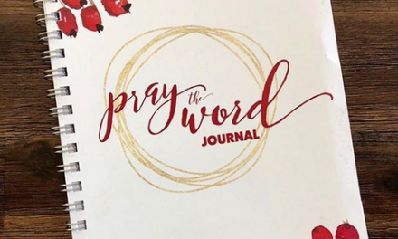 [MOB LIVE!] EPISODE #45: Bonus Content for the Pray the Word Journal